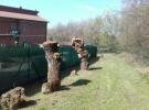 Fiorano: Taglio selvaggio di alberi storici a Villa Vigarani Guastalla