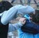 Rissa a scuola, 11enne picchiato a sangue